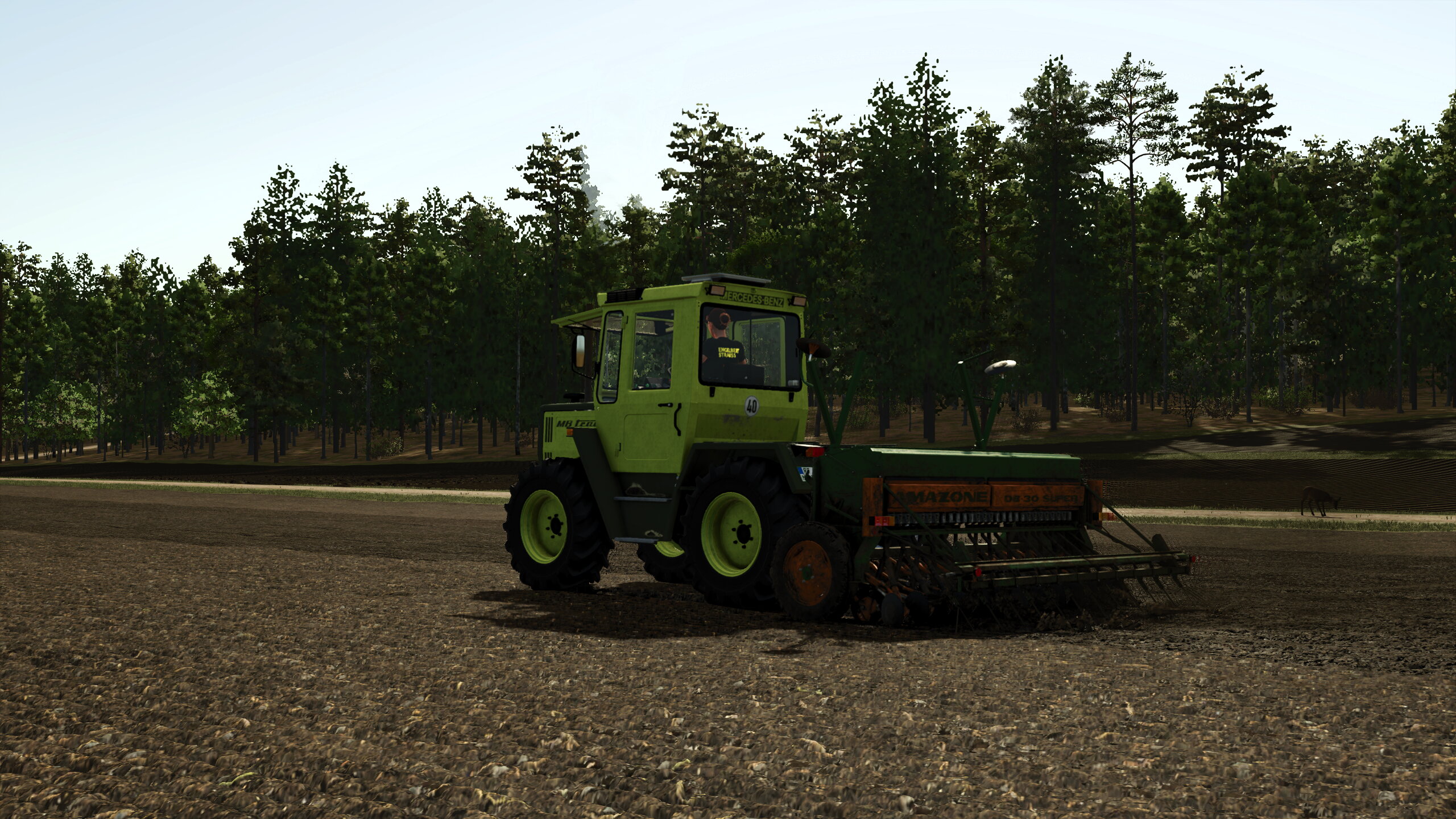 Sommergerste drillen