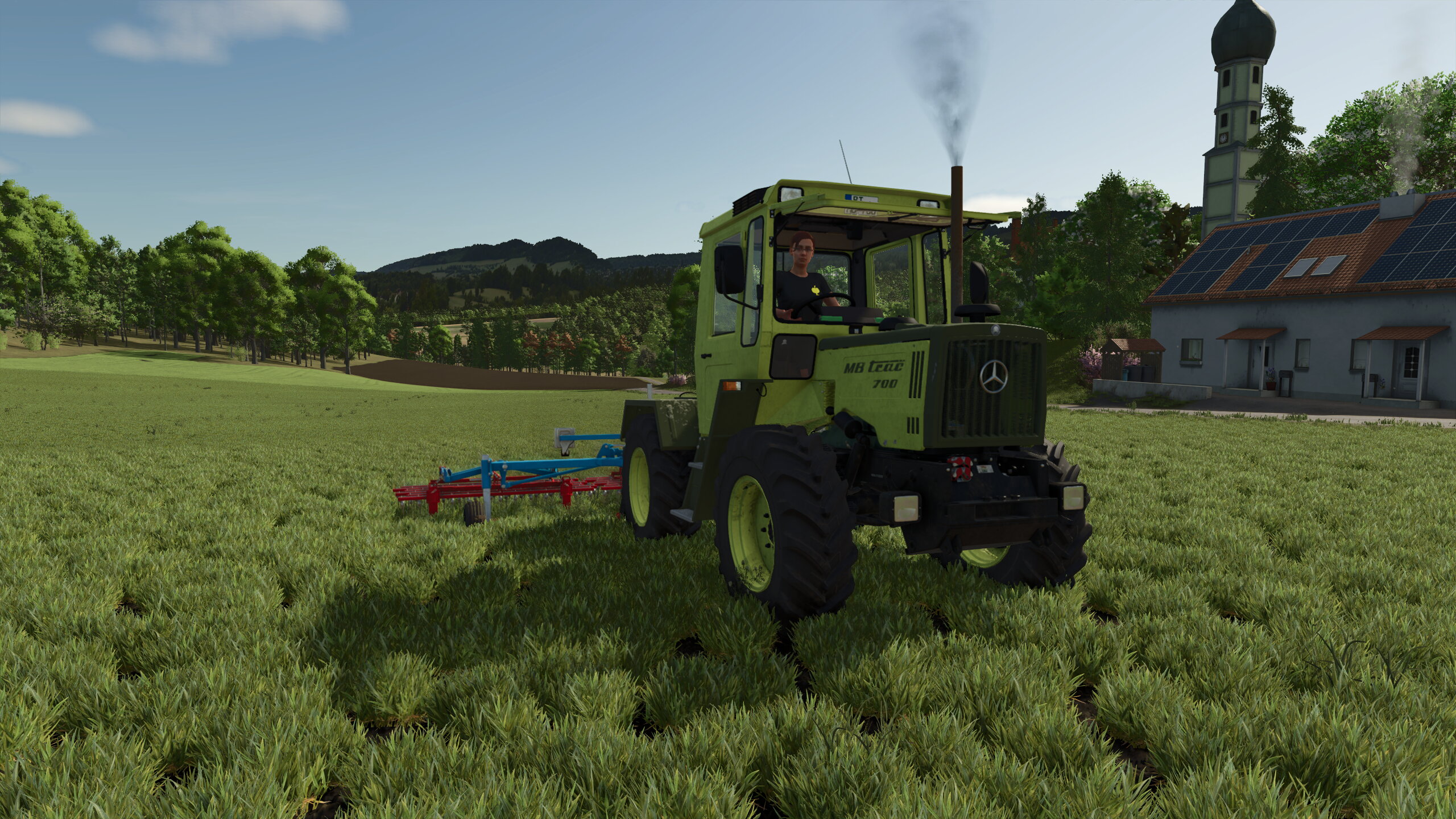 Sommergerste striegeln