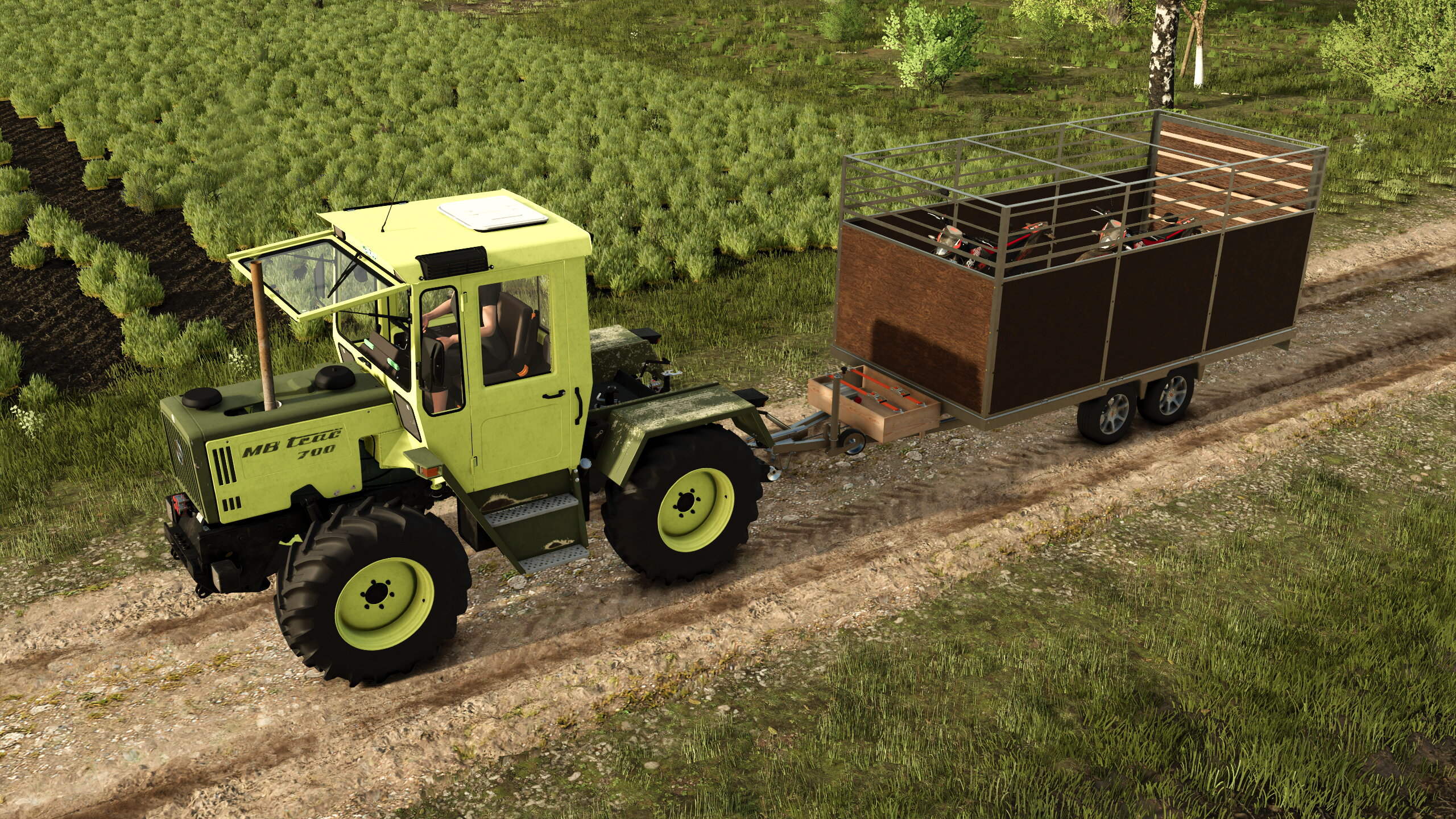 Benzinpferdchen umsiedeln