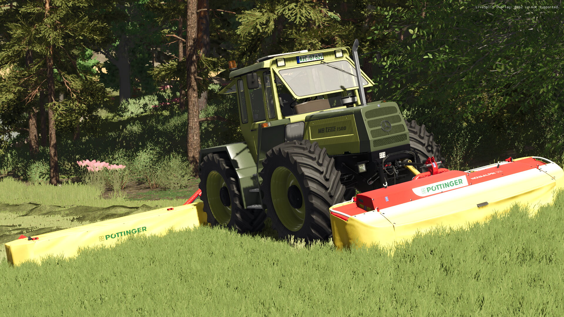 Gras weitere bilder folgen