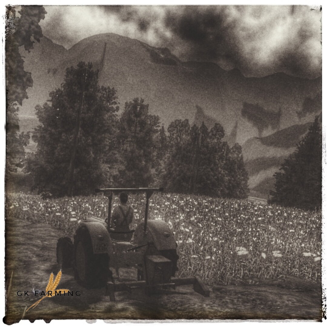 Eicher Königstiger - Erinnerungen