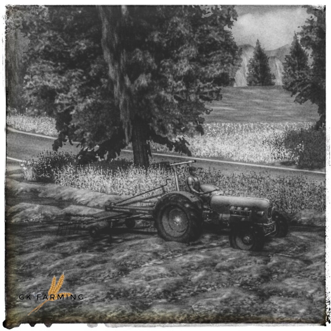 Eicher Königstiger - Erinnerungen