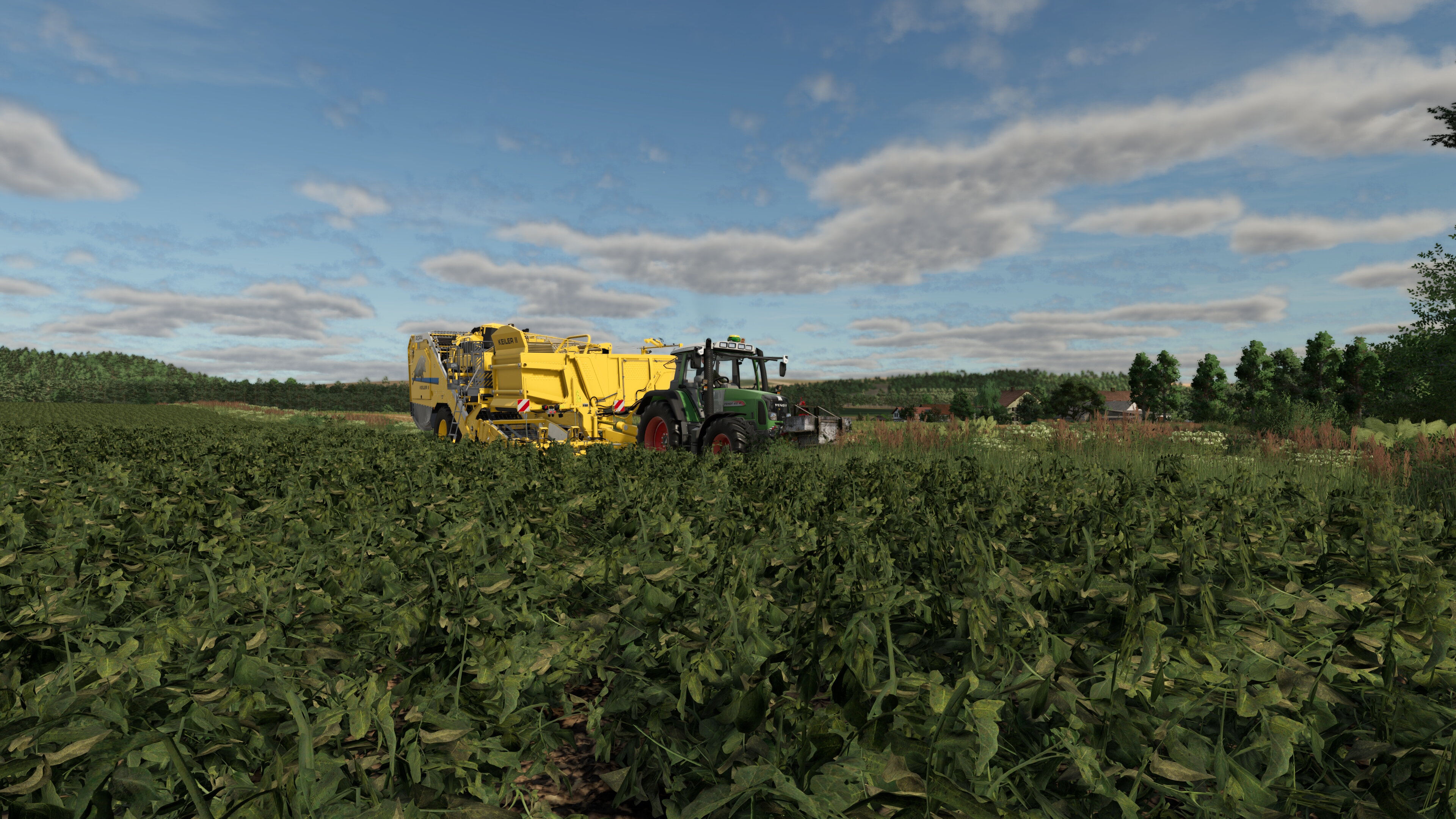 Kartoffeln roden in Oberhambach.