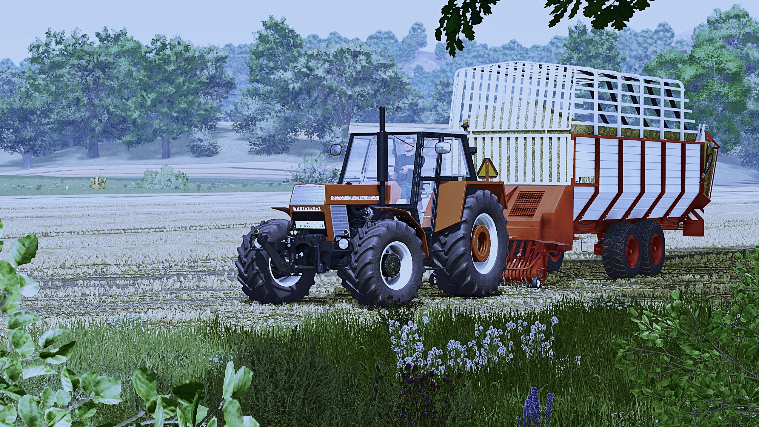 Zetor