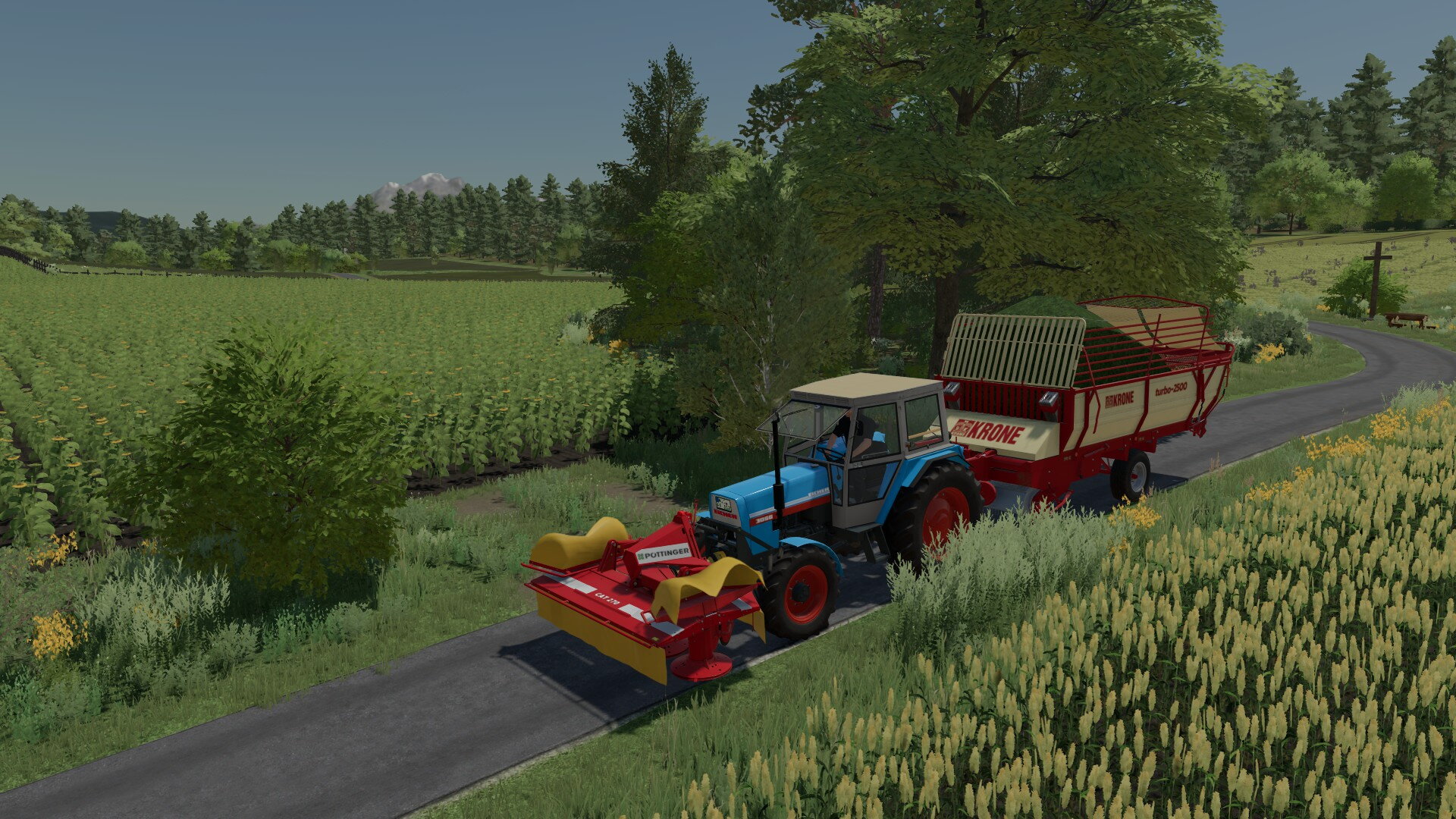 Frisgras holen auf der Ellerbach