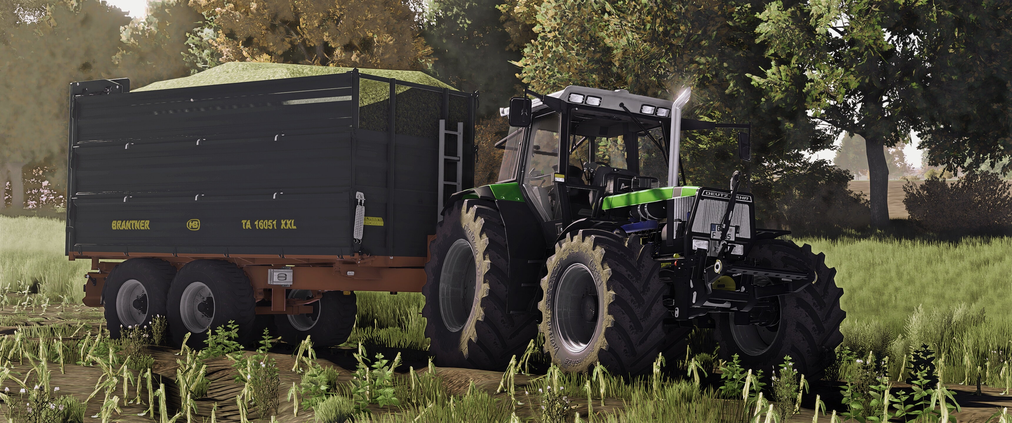 Ein schönes Gespann