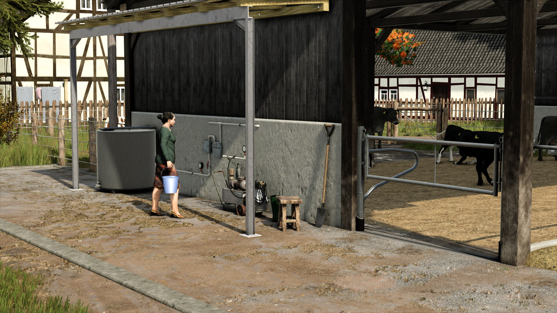 Oma kümmert sich um die Kühe