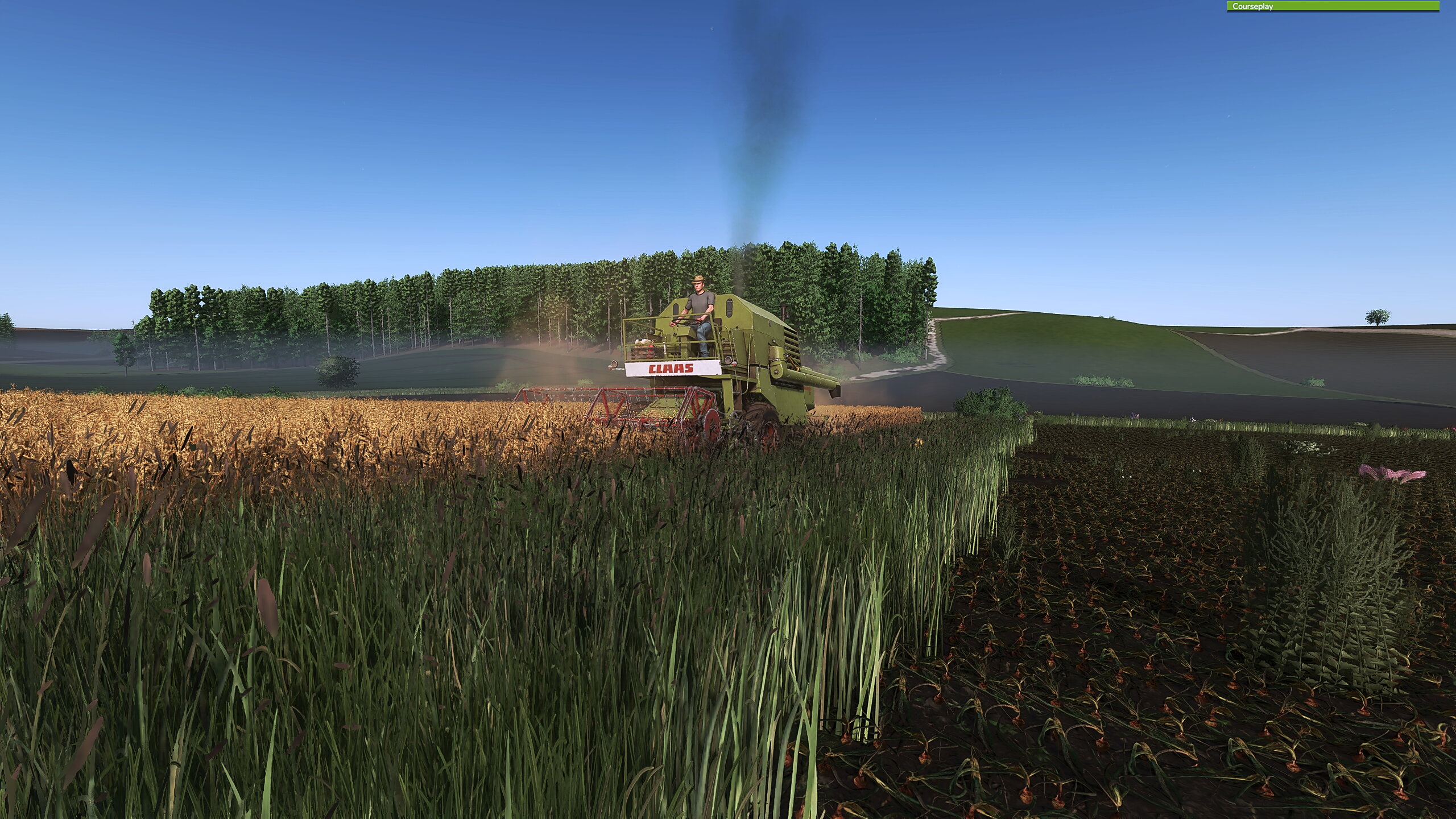 Steht im September noch das Korn, ist es wohl vergessen worn. :)