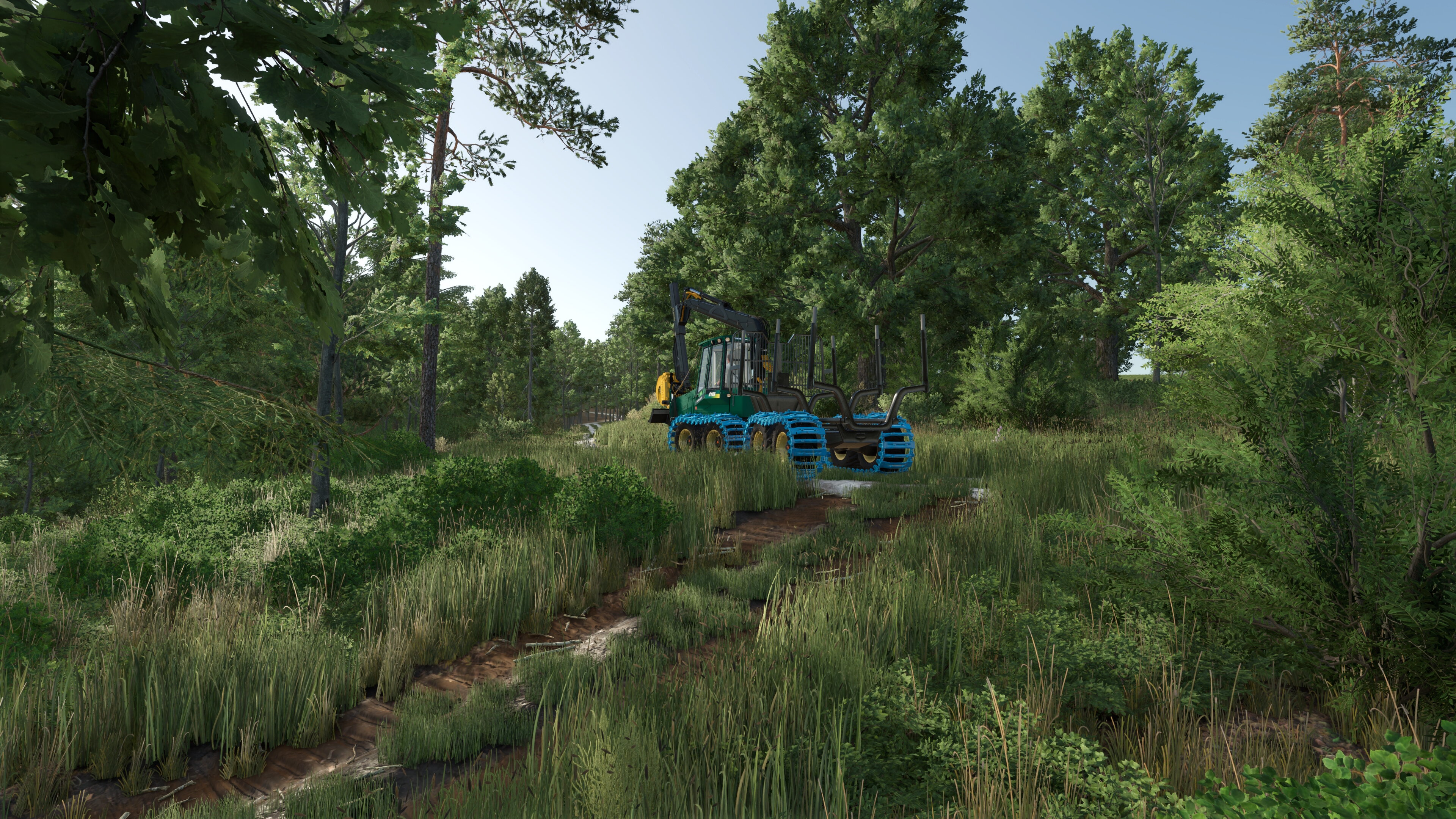 Heute im Heidenheimer Forst eine Runde aufforsten.