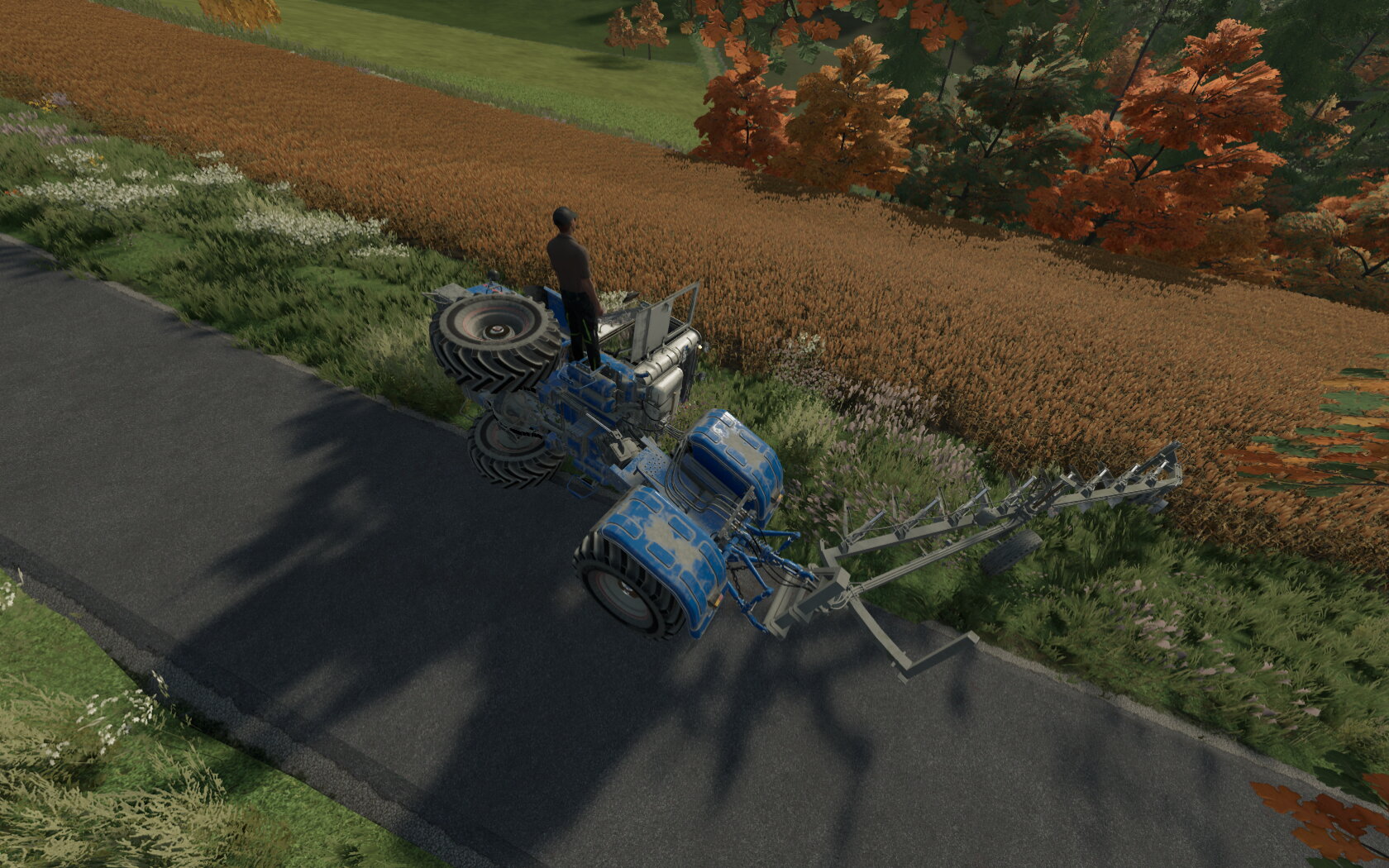 Bilder der letzten tage