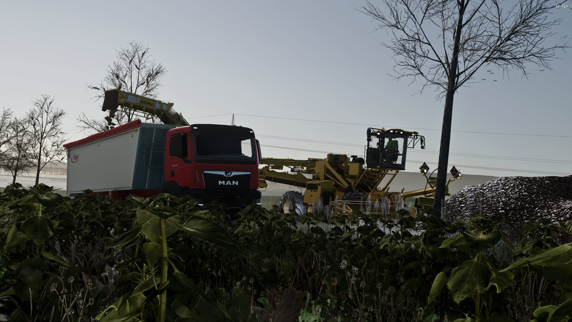 Bilder der letzten Tage :D