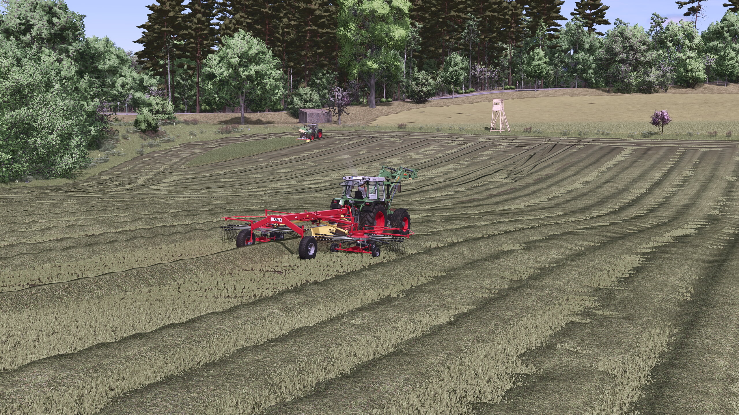 Silage im ersten Jahr