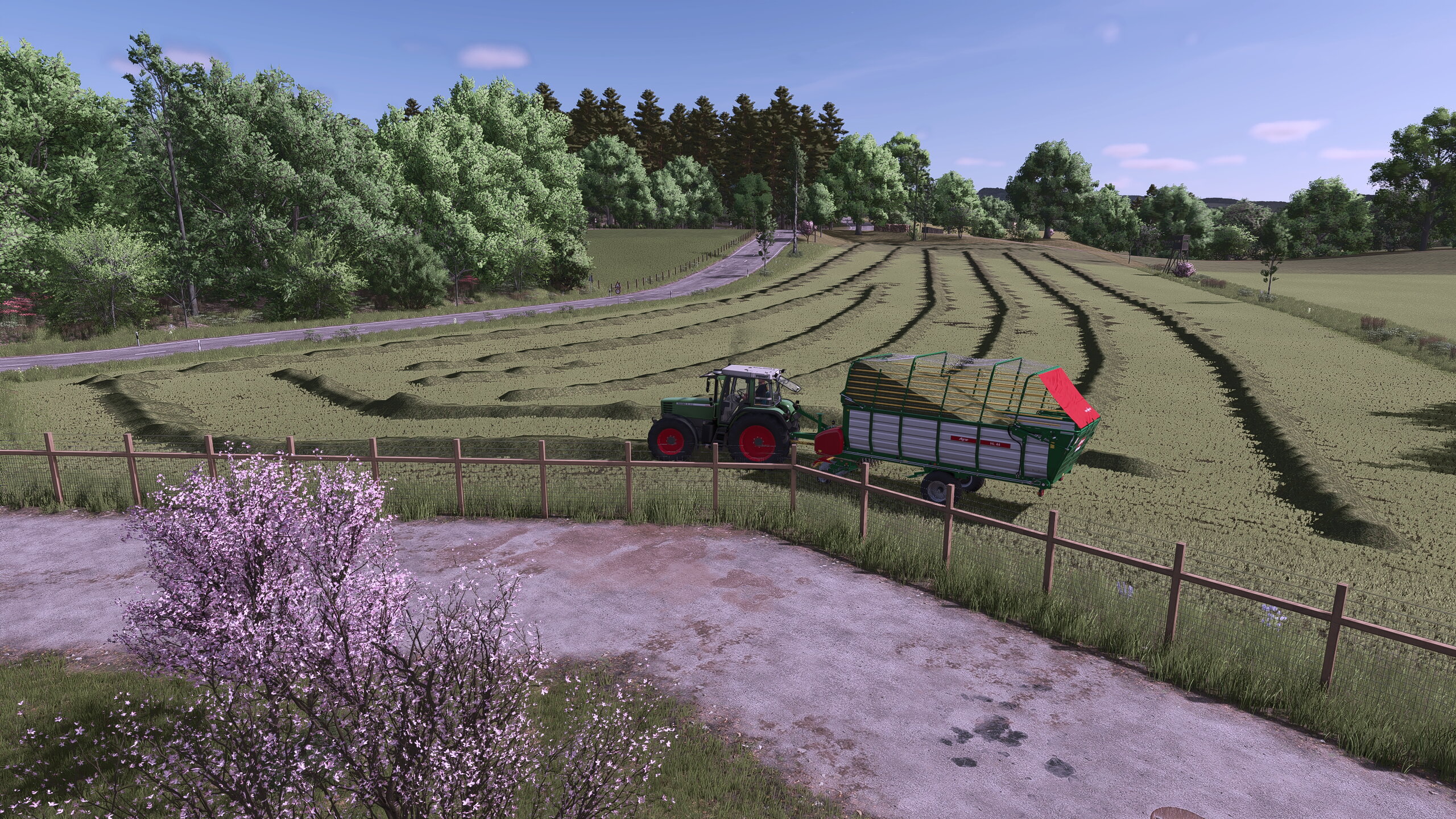 Silage im ersten Jahr