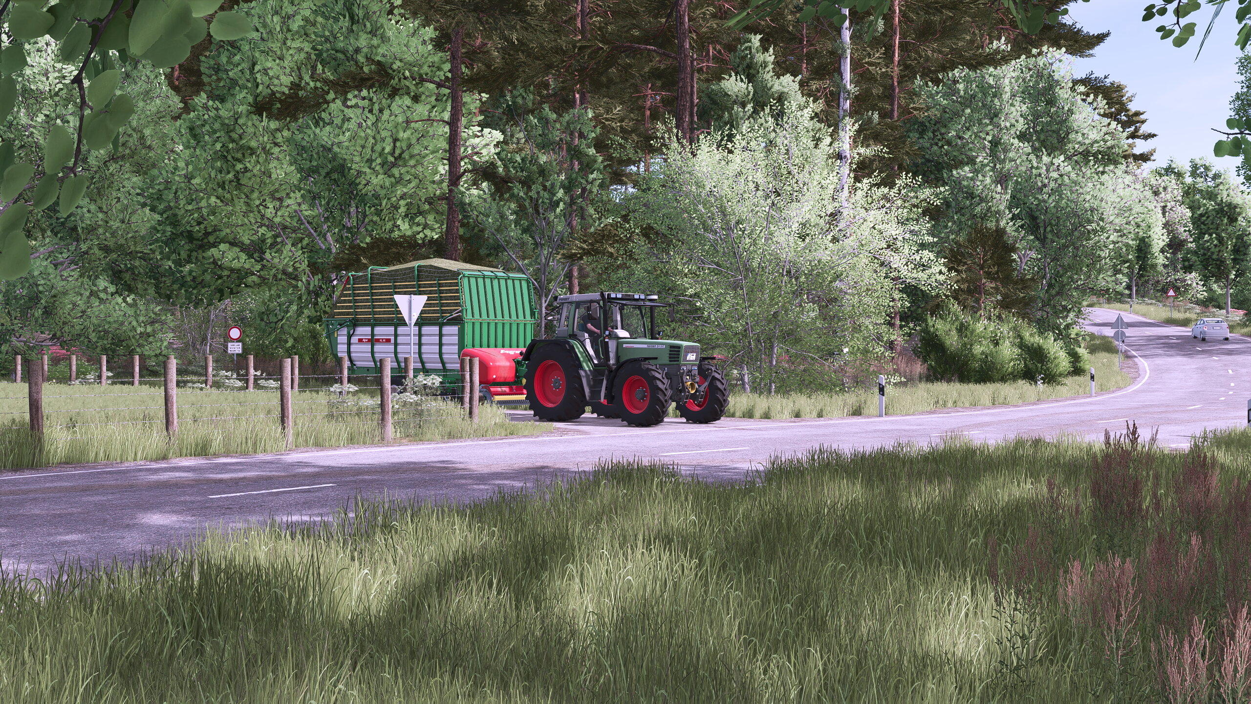 Silage im ersten Jahr