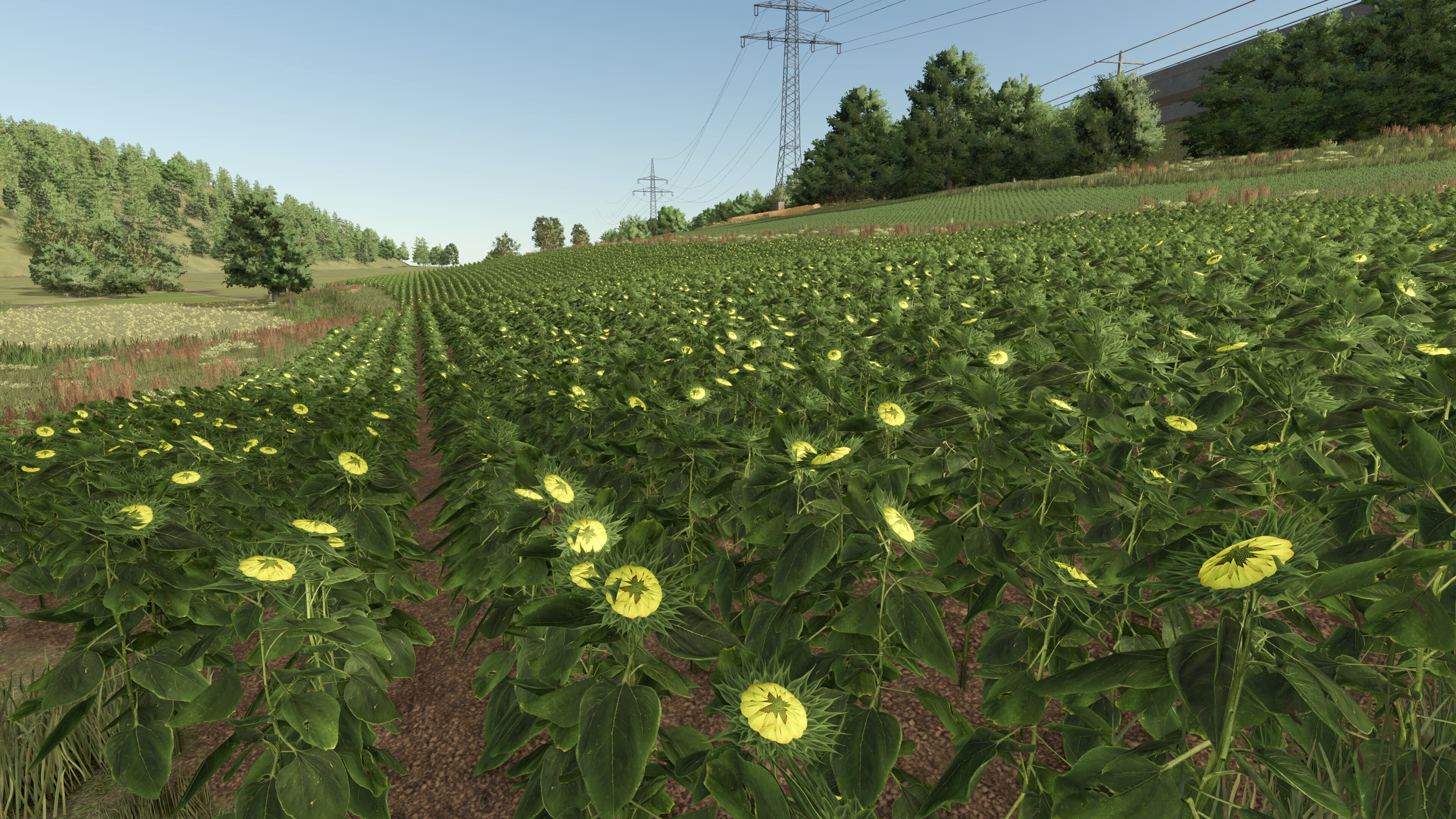 Bei den Sonnenblumen, sowie den Zuckerrüben wurden auch die LODs angepasst