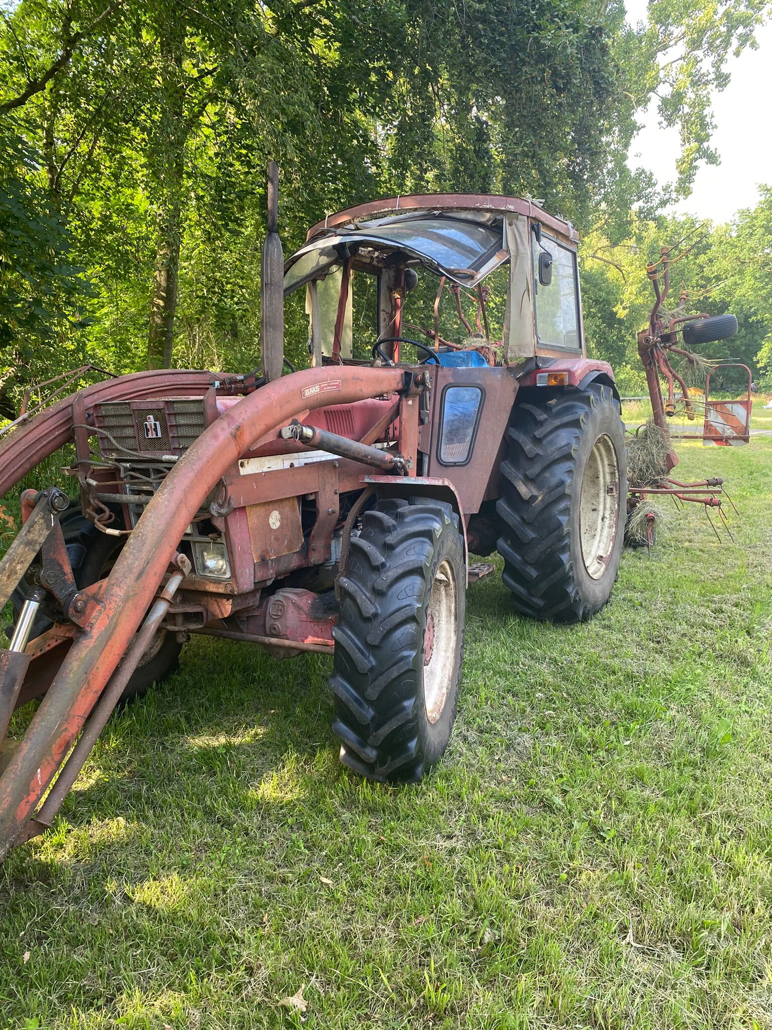 IHC 844
