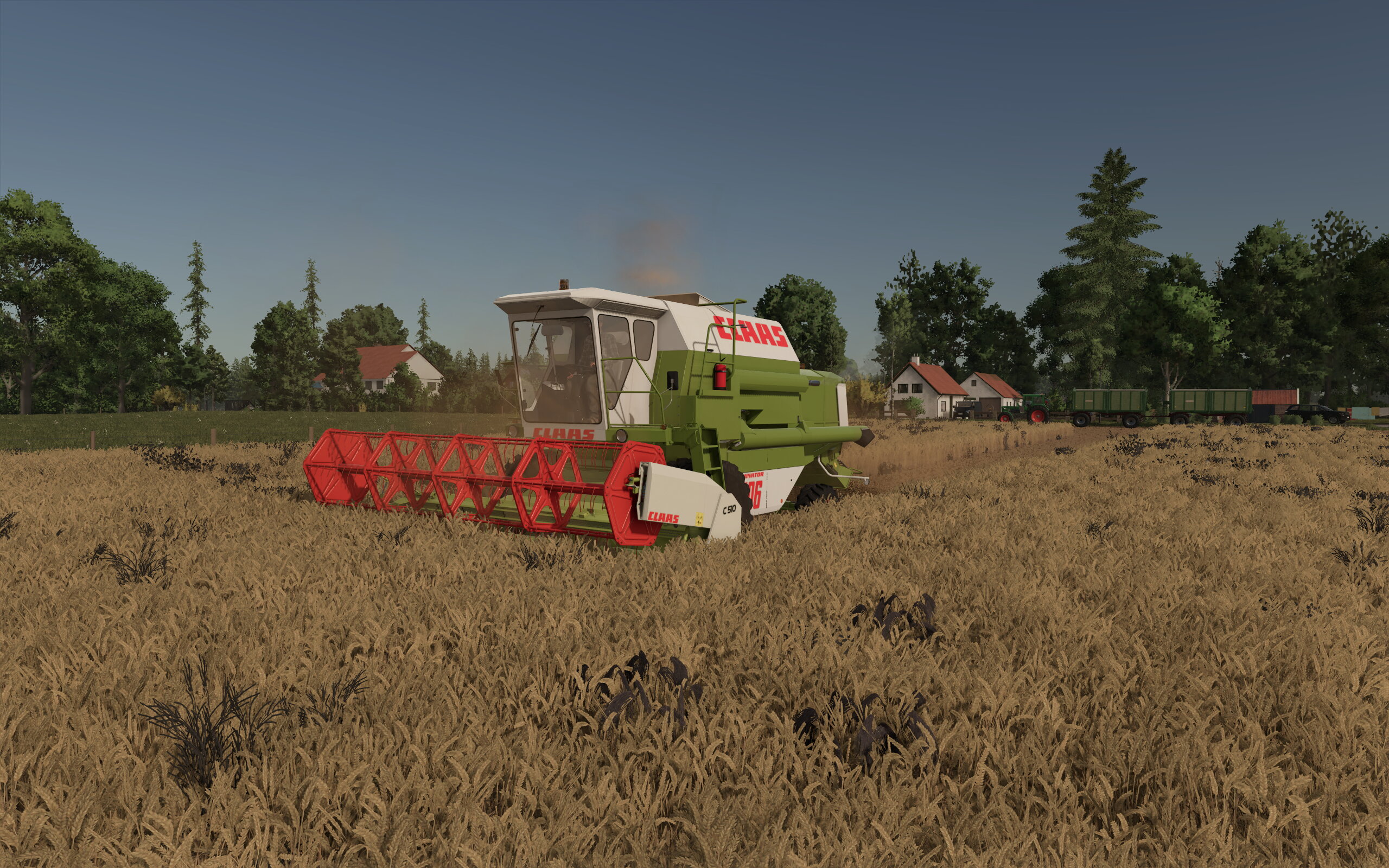 Dominator in Mindenerwald