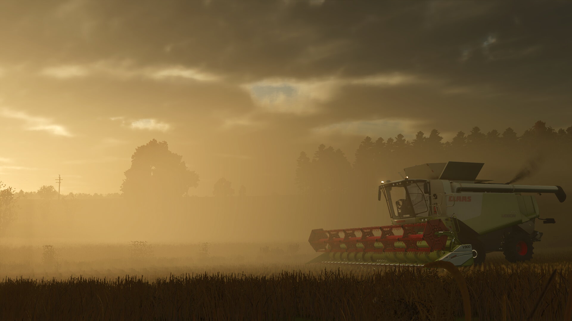Morgens in Polen