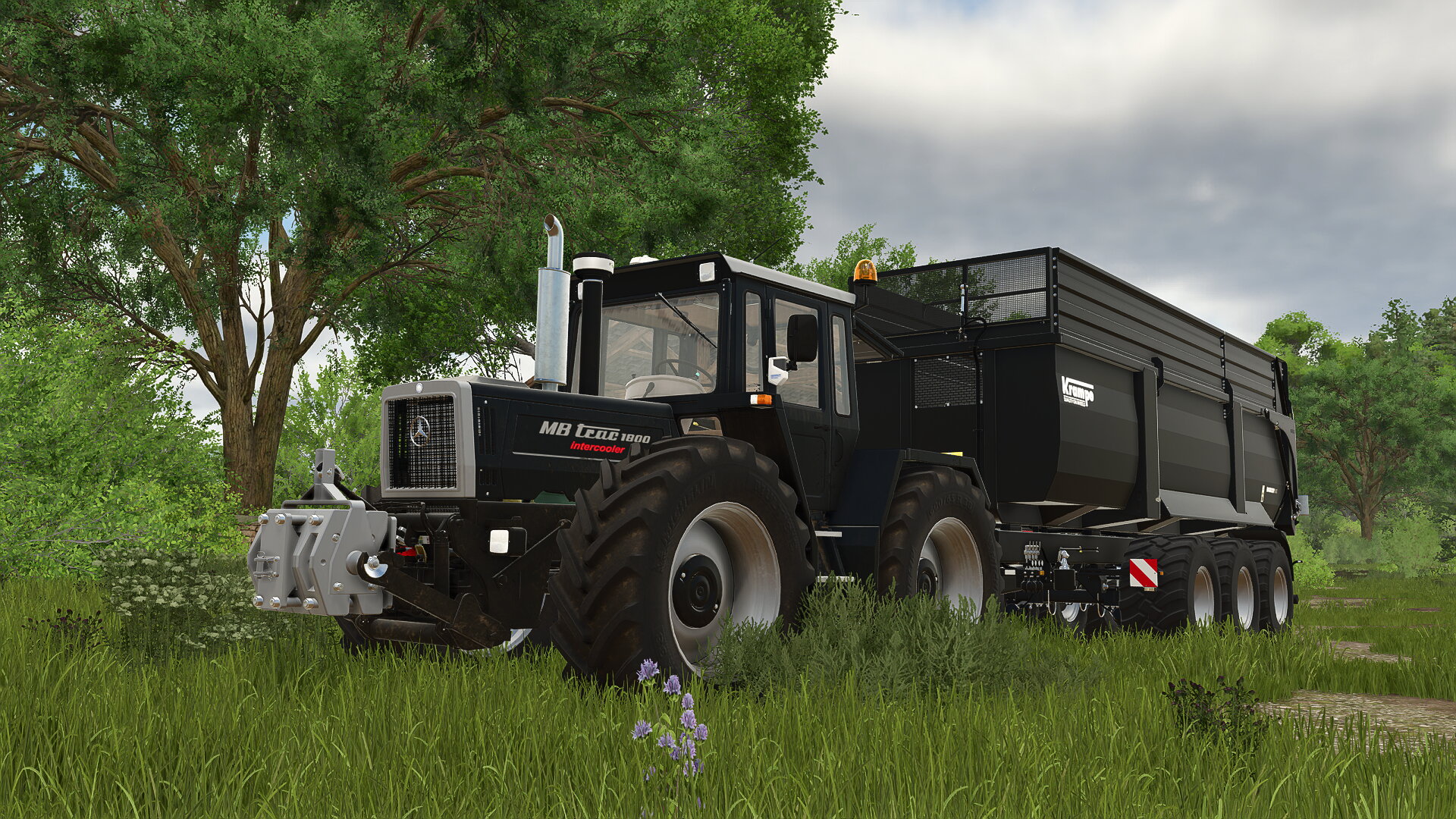Black Beauty :)