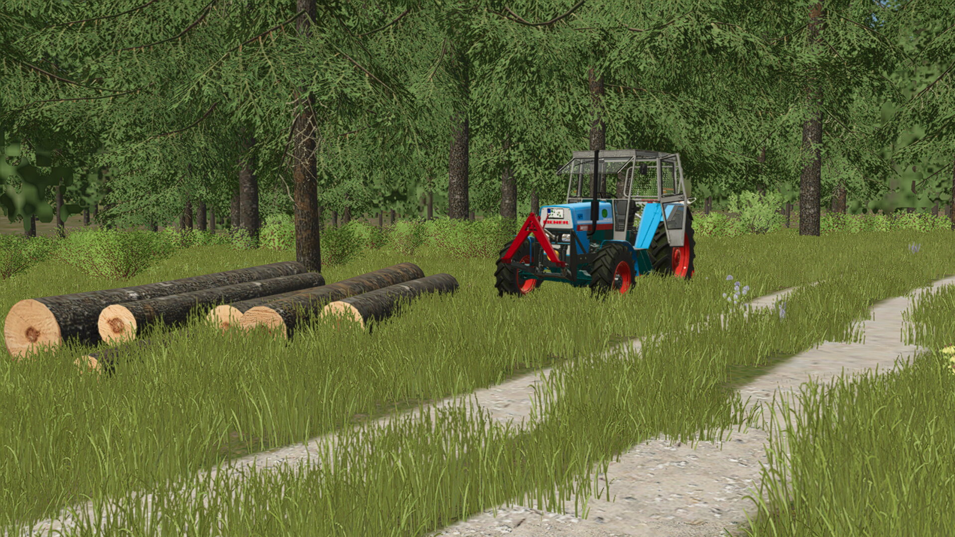 Eicher im Wald