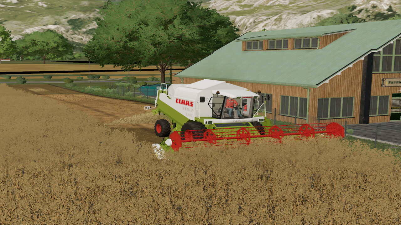 Lexion 430 im Hafer