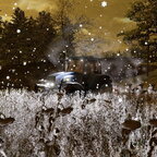 Akkern auf da Steinbach