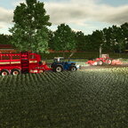 Lieblingsbeschäftigung