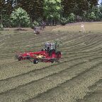 Silage im ersten Jahr