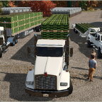 Meinhof - Michaels Farm