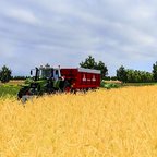 Raps Ernte mit dem Fendt 820 TMS und Annaburger