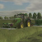 Ab ins Gras