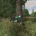 Simson