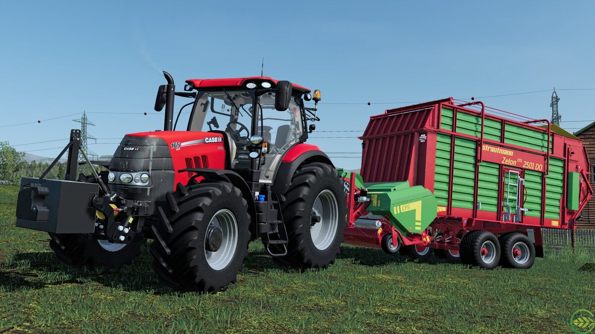 case puma 250