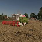 Dominator in Mindenerwald