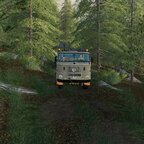 Teil 11 Ab durch den Wald