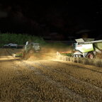 Weizen dreschen bis in die Nacht