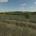 Rundumblick von einem Teil meiner Schnaitsee Karte.