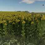 So, die Silphie hat jetzt auch ihre realistische Textur bekommen.