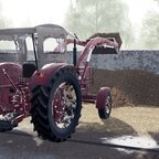 IHC 523 (LS19)