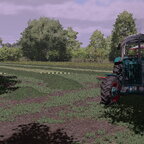 Luzerne silage machen