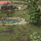 Frühling auf der Alp