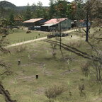 Frühling auf der Alp