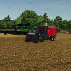 Field works