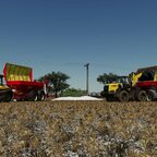 Kalk streuen auf der "Golden Farms"