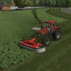 Gras mähn