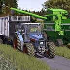 Körnermais Dreschen