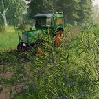 Eine kleine Aussfahrt mit meinem Fendt Farmer 2 gemacht