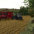 Field works