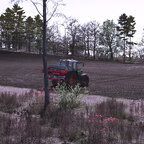 Frühling