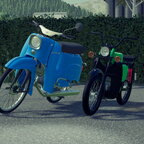 WIP mopeds